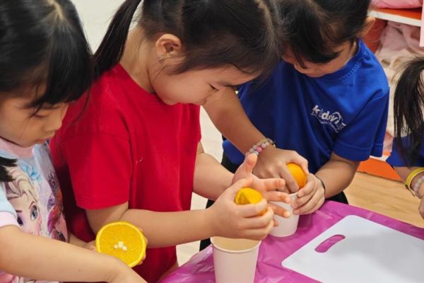 [CURRICULUM] Holiday Program